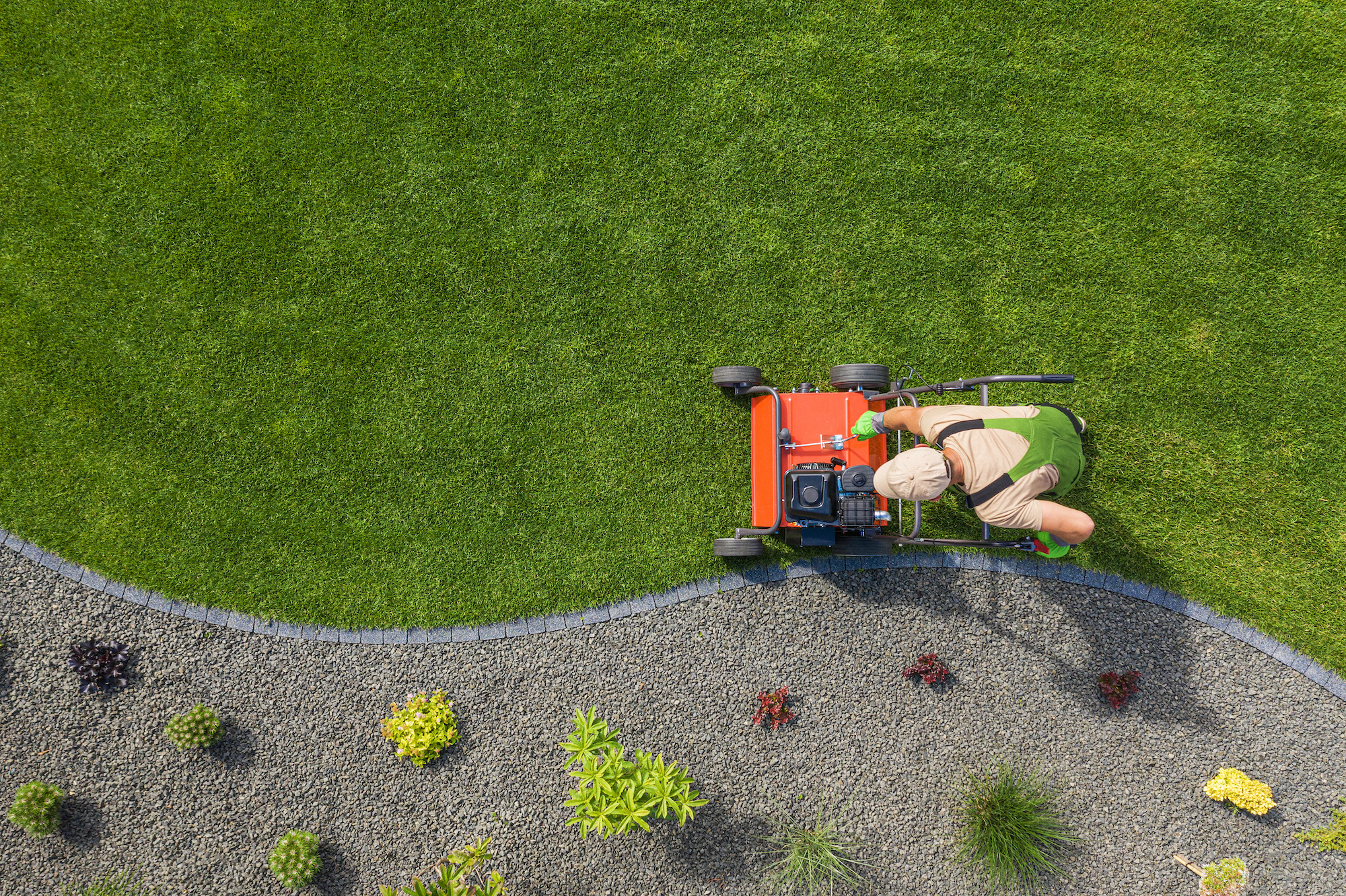 Pristine Turf Management: The Ultimate Lawn Care Experience for Your Home or Business