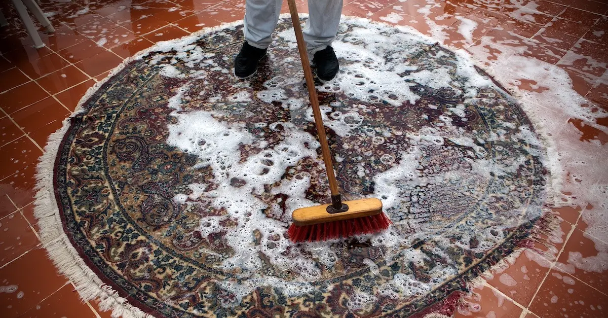 Rug Cleaning 101: Everything You Need to Know