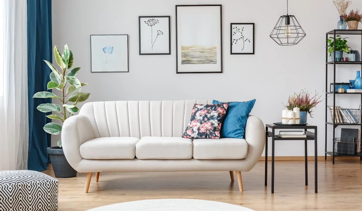Explore, Click, Transform: Absolute Home’s Seamless Furniture Shopping